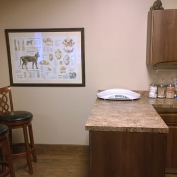 The Cat Practice - Our exam room - Veterinarians Near Me - New York, New York The Cat Practice - Our exam room - Veterinarians Near Me - New York, New York