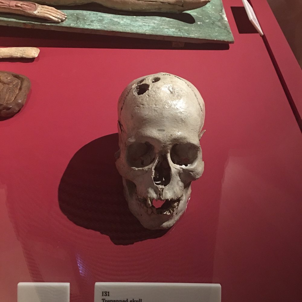 Wellcome Collection - Museums Near Me - London, XGL
