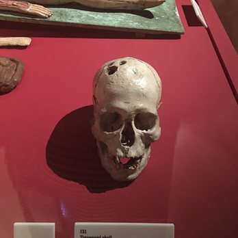 Wellcome Collection - Museums Near Me - London, XGL