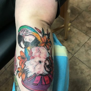 Skincredible Tattoo - Bird tattoo - Tattoo Near Me - Warrenville, Illinois