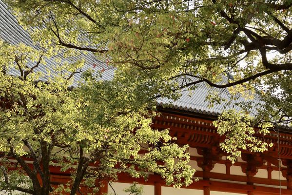 To-ji Temple by null