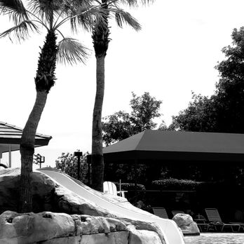 Willows Park and Community Center - Sunday Funday - Parks Near Me - Las Vegas, Nevada Willows Park and Community Center - Sunday Funday - Parks Near Me - Las Vegas, Nevada