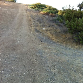 Three Sisters Reserve - Intense Incline - Hiking Near Me - Rancho Palos Verdes, California Three Sisters Reserve - Intense Incline - Hiking Near Me - Rancho Palos Verdes, California