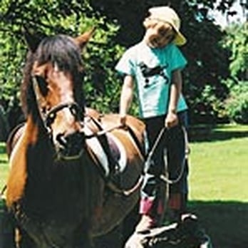 Arrowhead Farm - Horseback Riding Near Me - West Tisbury, Massachusetts