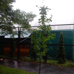 AM Tenis