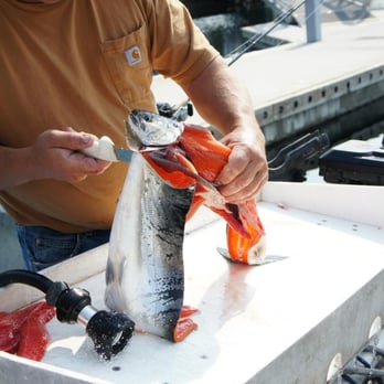 Adventure Charters - This is a guy who really knows how to filet a fish - Fishing Near Me - Seattle, Washington Adventure Charters - This is a guy who really knows how to filet a fish - Fishing Near Me - Seattle, Washington