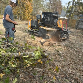 Alpine Tree Services - Stump grinding‼ - Tree Services Near Me Alpine Tree Services - Stump grinding‼ - Tree Services Near Me