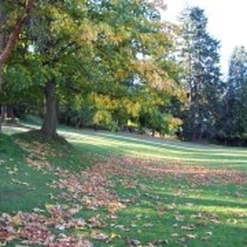 Bitter Lake Playfield - (DID NOT TAKE THIS PHOTO) - Parks Near Me - Seattle, Washington Bitter Lake Playfield - (DID NOT TAKE THIS PHOTO) - Parks Near Me - Seattle, Washington