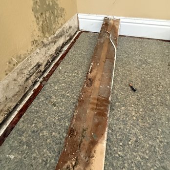 1290 Diamond Way - Mold growth from a slow leak within the wall cavities - Damage Restoration Near Me - Concord, California 1290 Diamond Way - Mold growth from a slow leak within the wall cavities - Damage Restoration Near Me - Concord, California