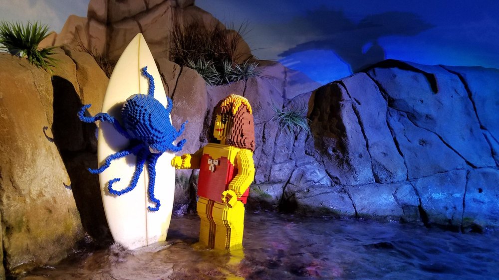 SEA LIFE AQUARIUM TEMP. CLOSED 907 Photos & 246 Reviews Aquariums