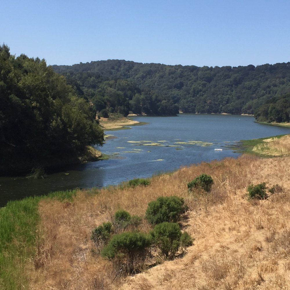 EBMUD Watershed Trails - Upper San Leandro Reservoir - Parks Near Me - Oakland, California EBMUD Watershed Trails - Upper San Leandro Reservoir - Parks Near Me - Oakland, California