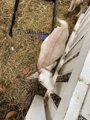 Everglades Outpost by null