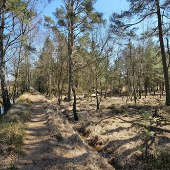 Duvenstedter Brook - Local Flavor Near Me - Hamburg, HH