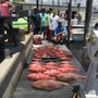 Photo of Captain Bill's Fishing Charters
