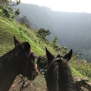 Wailea Horseback Adventure - Horseback Riding Near Me - Hakalau, Hawaii