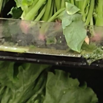 Albertsons - a close up of a bunch of lettuce - Grocery Near Me - Marysville, Washington