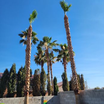 Santos Landscaping - After - Artificial Turf Near Me Santos Landscaping - After - Artificial Turf Near Me