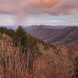 Newfound Gap