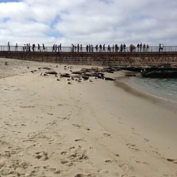 La Jolla Cove - Seals - Parks Near Me - La Jolla, California La Jolla Cove - Seals - Parks Near Me - La Jolla, California