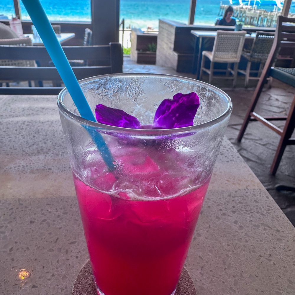 Beach House - The Bouquet - Bars Near Me - Pompano Beach, Florida Beach House - The Bouquet - Bars Near Me - Pompano Beach, Florida