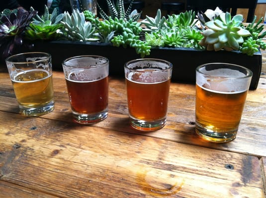Rough Draft Brewing Company by null