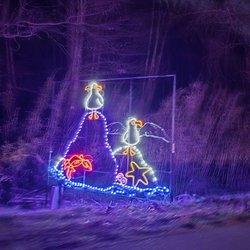 Lights Of Joy - December 2024