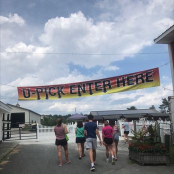 Bowman Orchards - Kids Activities Near Me - Rexford, New York