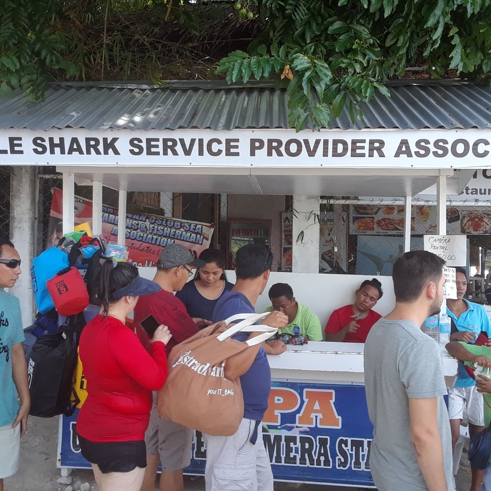 Oslob Whale Shark Watching - Whale Watching Tours Near Me - Oslob, CEB Oslob Whale Shark Watching - Whale Watching Tours Near Me - Oslob, CEB