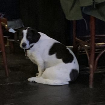 The Kings Inn - Bars Near Me - Dublin, D