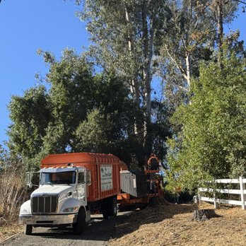 Julian Tree Care - Tree Services Near Me Julian Tree Care - Tree Services Near Me