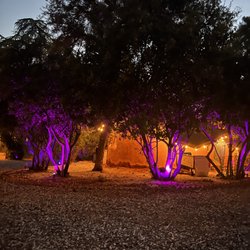Third Eye Tribe Retreats - The energy here is amazing!