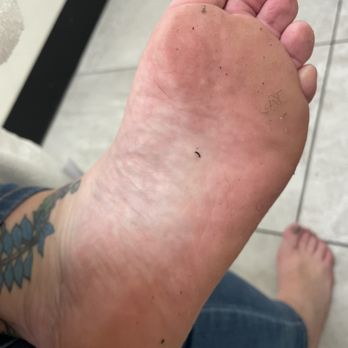 Planet Fitness - My freshly showered dirt from floor feet - Gyms Near Me - Seattle, Washington Planet Fitness - My freshly showered dirt from floor feet - Gyms Near Me - Seattle, Washington