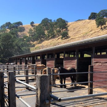 Franklin Canyon Stables - Horse Boarding Near Me - Martinez, California Franklin Canyon Stables - Horse Boarding Near Me - Martinez, California