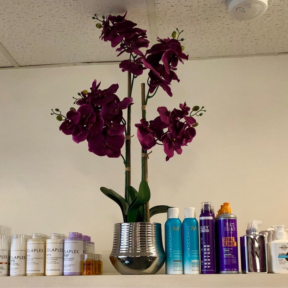 Keo Designs - Purple decor, right down to the plants. - Makeup Artists Near Me - Bethesda, Maryland