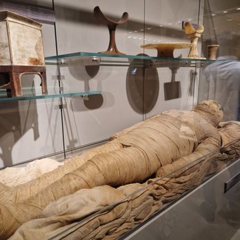 Museo Egizio - Museums Near Me - Torino, TO