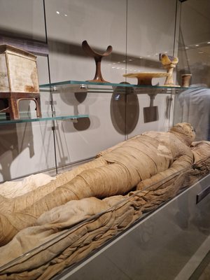 Museo Egizio by null