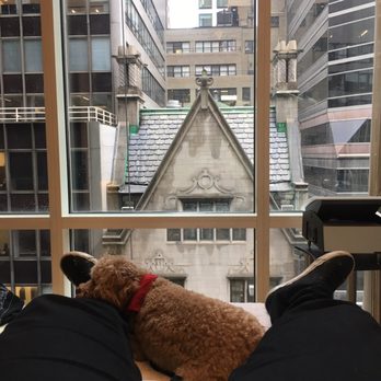 Dangene - Beautiful treatment rooms with my little guy. - Skin Care Near Me - New York, New York
