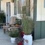 Photo of McKay Garden Center - Oregon