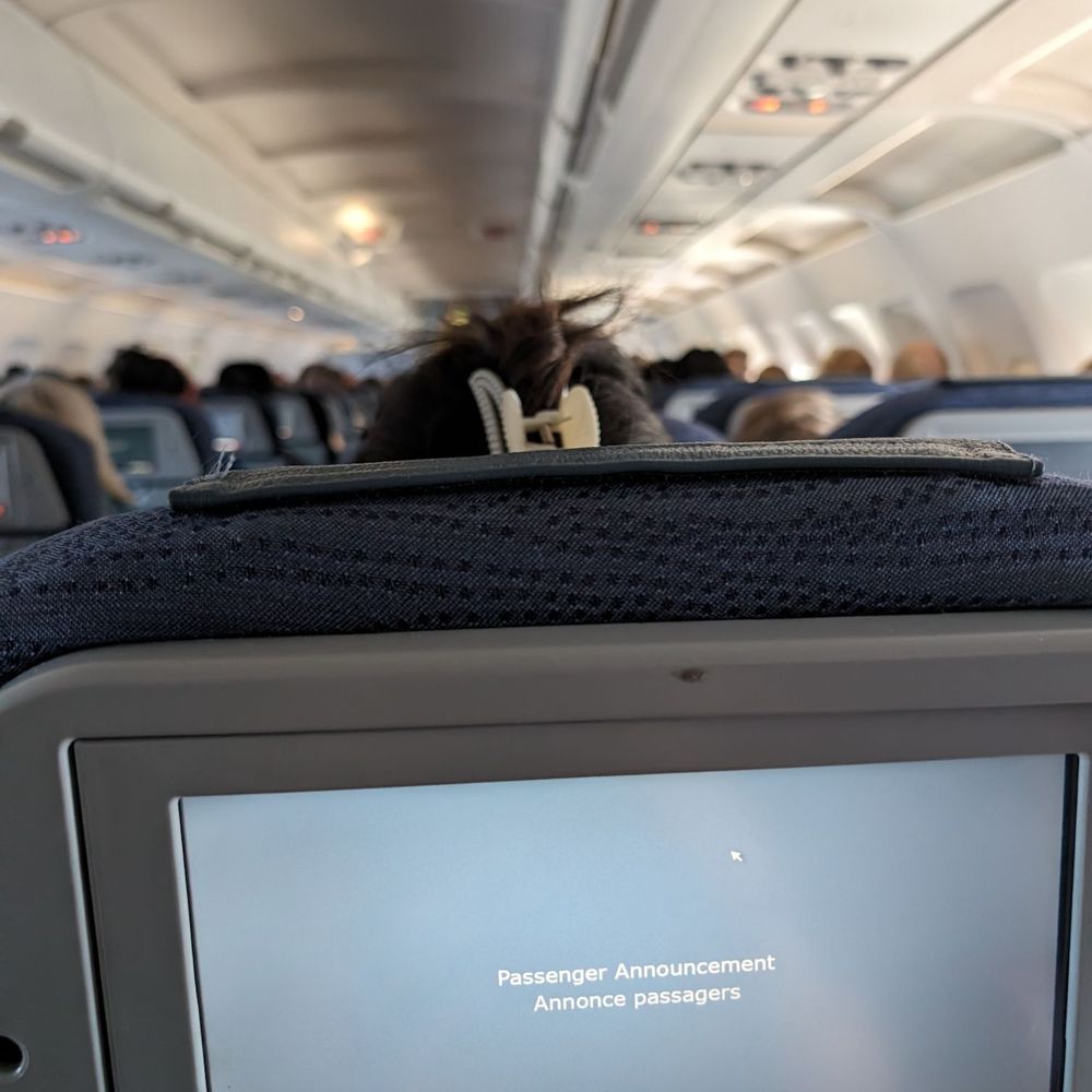Air Canada - Flight from YWG to YYZ. It was a full flight. - Airlines Near Me - Winnipeg, Manitoba Air Canada - Flight from YWG to YYZ. It was a full flight. - Airlines Near Me - Winnipeg, Manitoba