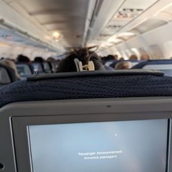 Air Canada - Flight from YWG to YYZ. It was a full flight.