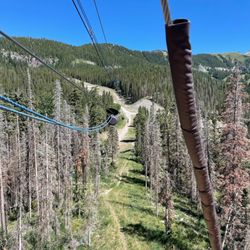 Telluride Canopy Adventure - Zip line