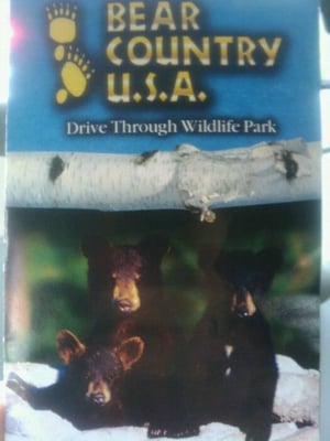 Bear Country USA by null