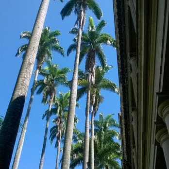 Palácio do Itamaraty - Palm trees - Landmarks & Historical Buildings Near Me - Rio de Janeiro, RJ Palácio do Itamaraty - Palm trees - Landmarks & Historical Buildings Near Me - Rio de Janeiro, RJ