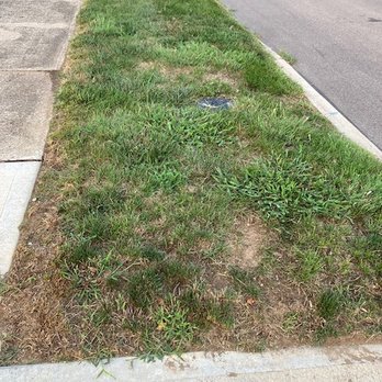 Weed Man - after a year with weedman - Pest Control Near Me - Plain City, Ohio