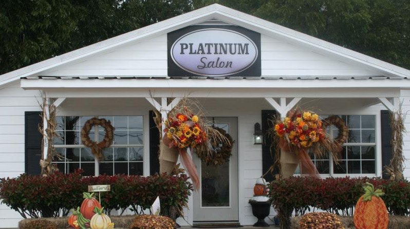 Platinum Salon Logo