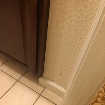 Carleton Hotel - I hope that's paint... - Hotels Near Me - Oak Park, Illinois Carleton Hotel - I hope that's paint... - Hotels Near Me - Oak Park, Illinois