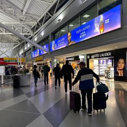 JFK Terminal 8