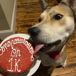 Barkery 4" Round Birthday Cake - red yogurt frosting Barkery 4" Round Birthday Cake - red yogurt frosting