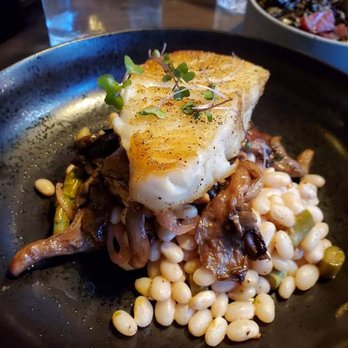 DOSC - Falkland island sea bass - Cafes Near Me - Edmonton, Alberta DOSC - Falkland island sea bass - Cafes Near Me - Edmonton, Alberta