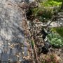 Photo of Good As New Roofing